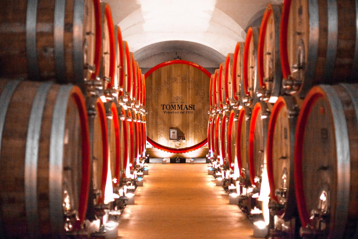 Tommasi Cantina Magnifica