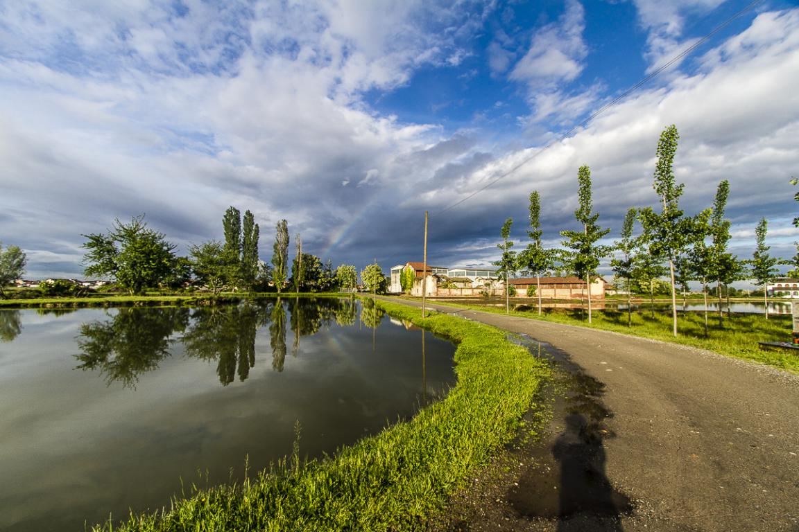 ph credits ATL Terre Alto Piemonte Novara 
