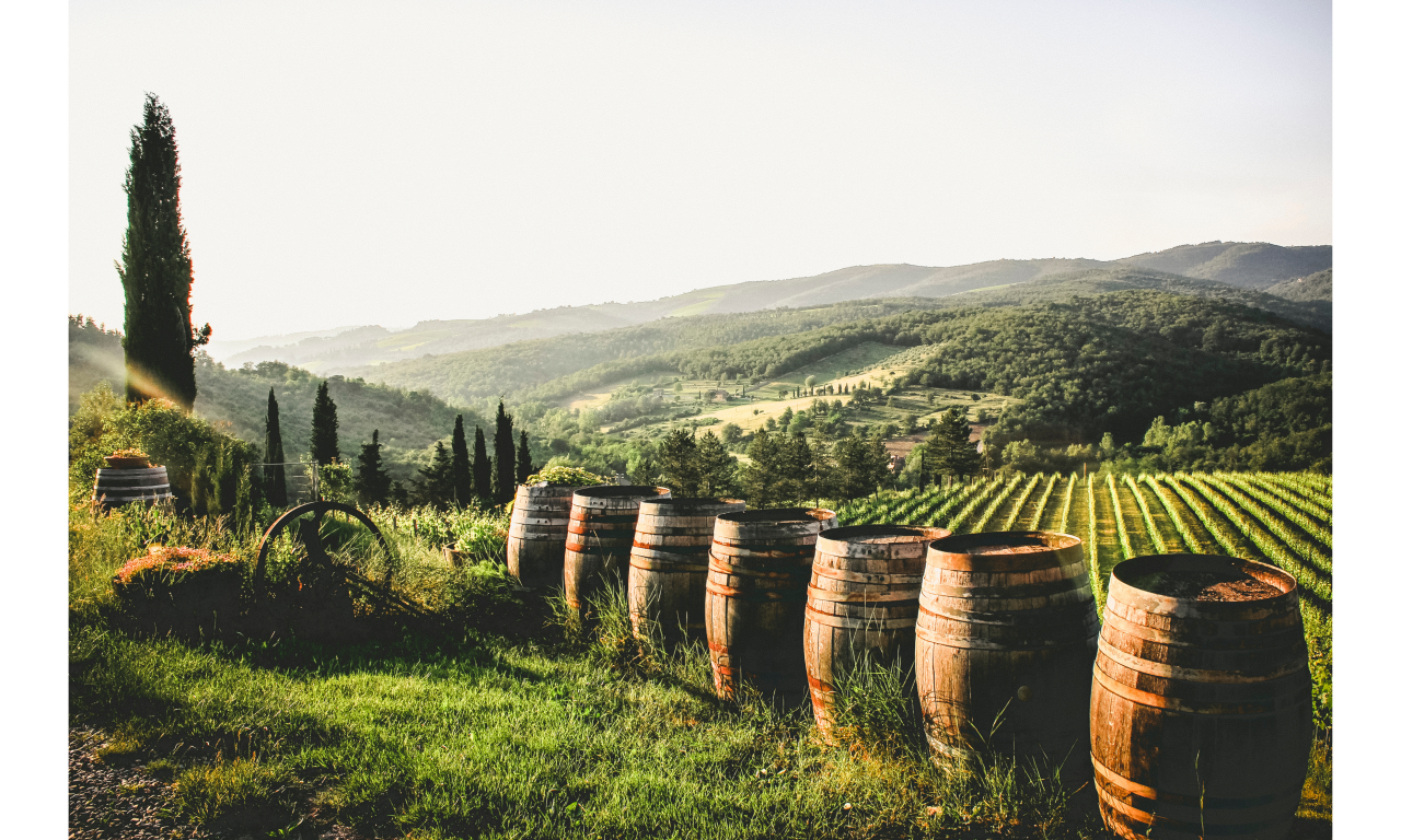 mini white wine day canva 1
