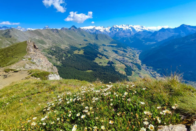 monterosa 1