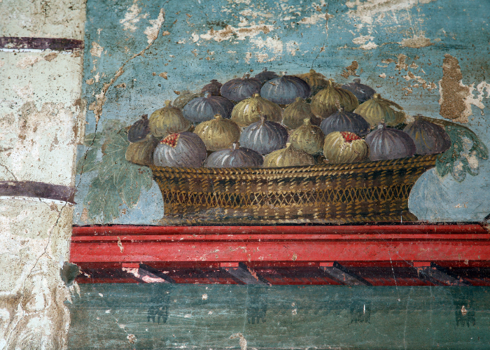 oplontis 4