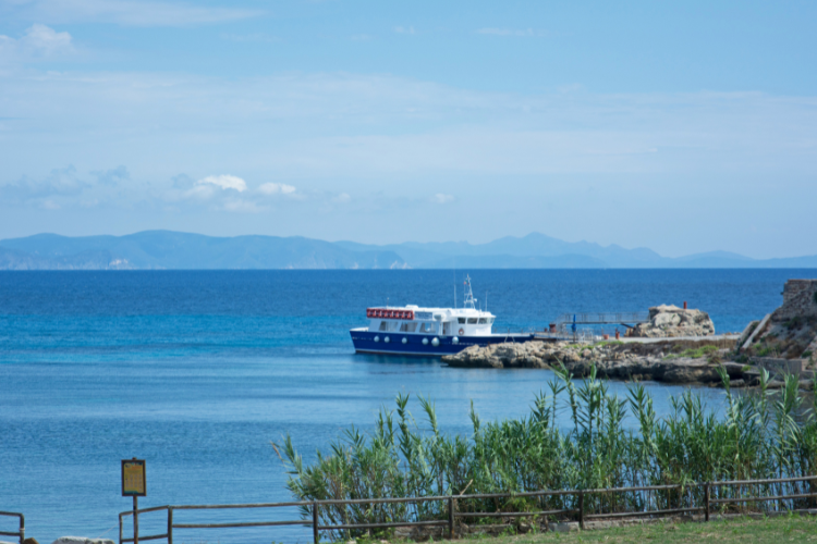 pianosa