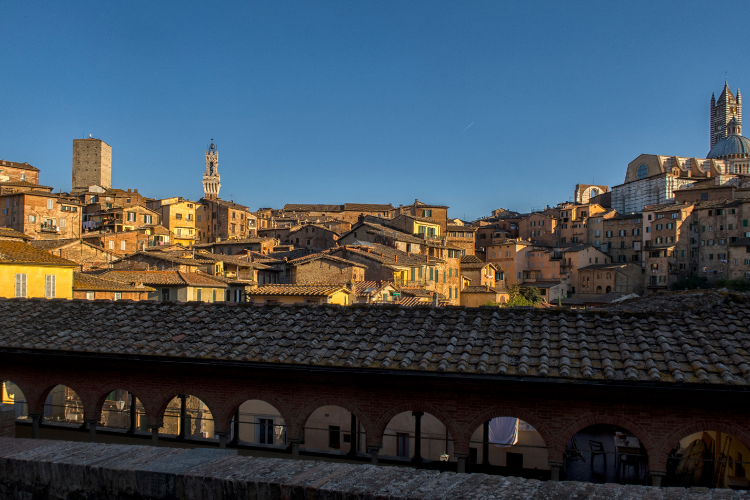 siena.png