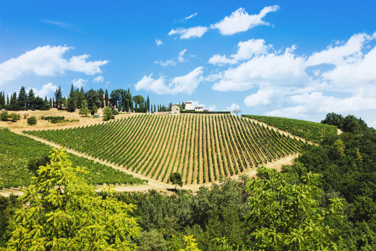 strade del chianti