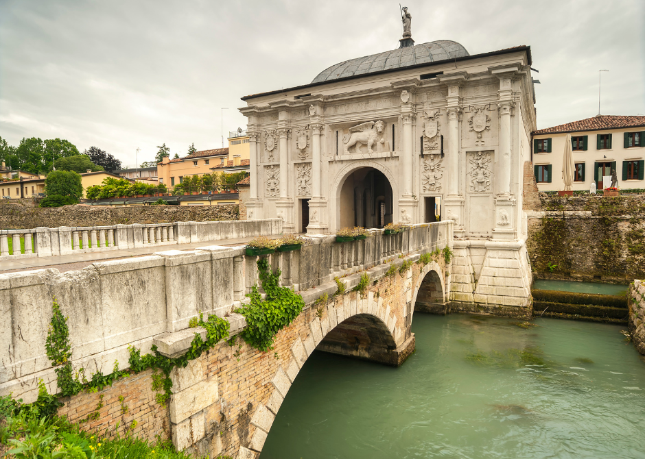 treviso 5