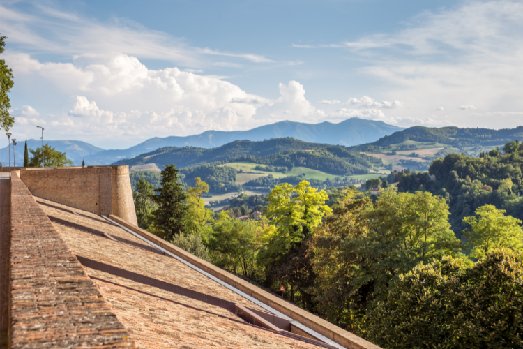urbino 1