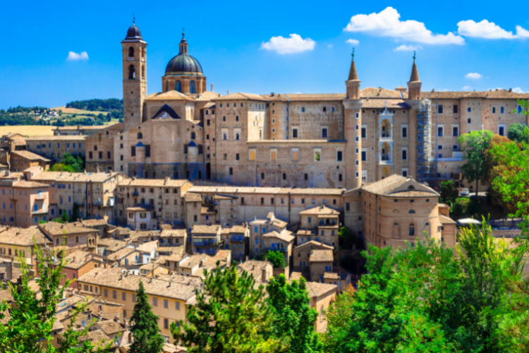 urbino 1 1