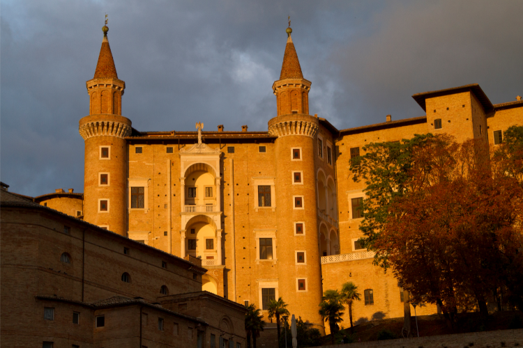 urbino 2