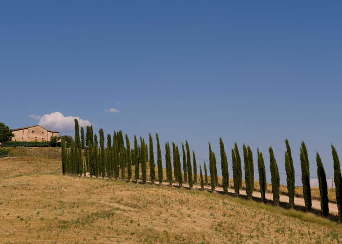 val dorcia 2