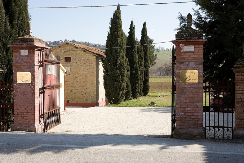 Villa Bucci