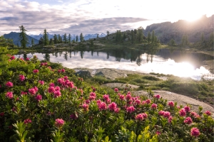 Vallette Lake 