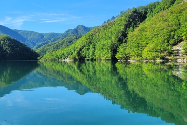 Canoeing and forest bathing in the Foreste Casentinesi National Park