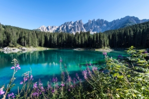 Summer in the Val d'Ega in the heart of the Dolomites