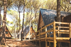Club del Sole: towards a capital increase and a new financial partner 