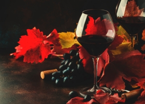San Michele Appiano. An award-winning winery in the South Tyrol
