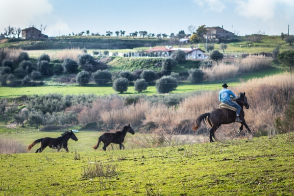 Francigena and Taste Trails in Tuscia, a new DMO promoting the Tuscia Viterbese region