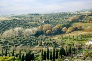Maremma. A Tuscan natural and gastronomic paradise