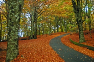 The Calabria Trail. A new 654-kilometre route