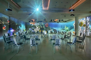 Enterprise Hotel: the only Immersive Room in Italy!