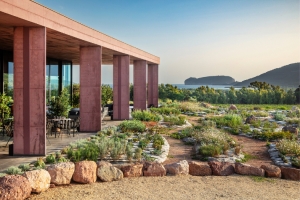 Oniwines:  six wineries to discover Italy’s wine-growing regions