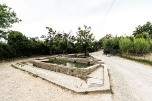 Ancient bronze statues unearthed near Siena to be big tourist draw