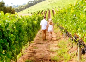 The growing trend for wine tourism experiences in Tuscany