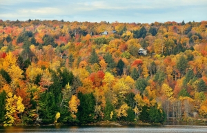 Boscolo’s suggestions for autumn itineraries. From Italy’s art cities to the lake district.