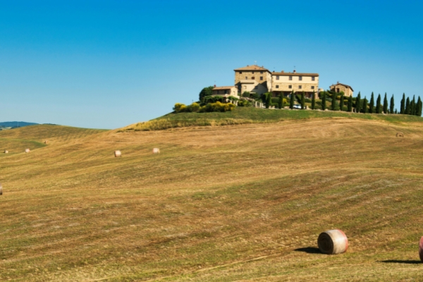 Into the trees: a quiet day in Tuscany’s Vallombrosa Reserve