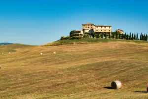 Into the trees: a quiet day in Tuscany’s Vallombrosa Reserve