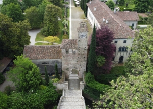 Cordovado