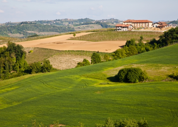 Alexala, Alessandria's tourist agency, offers autumn foliage tours