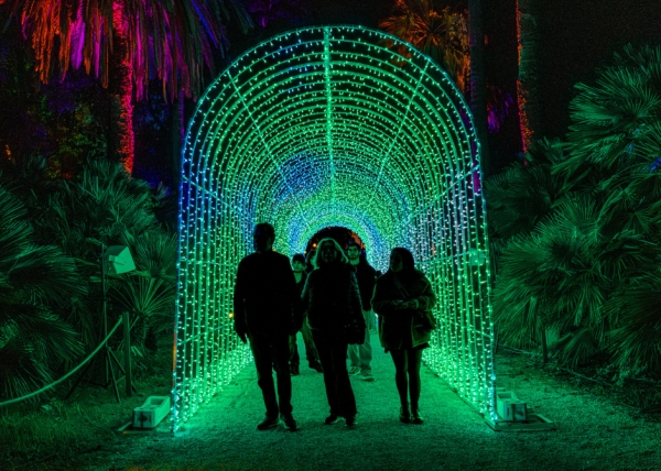 Trame di Luce: the light art show returns to Rome's Botanical Gardens