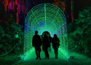 Trame di Luce: the light art show returns to Rome's Botanical Gardens