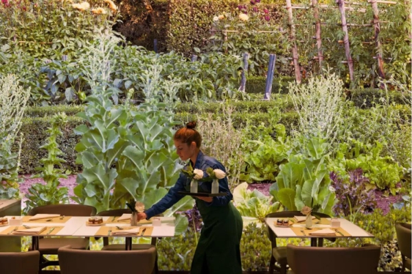 Milan’s Starhotels Echo. First entry for Beyond Green circuit
