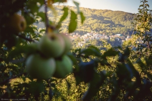 The October Castel del Giudice’s Apple Festival 