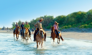 Eco-friendly glamping. Discover the Po on horseback, on two wheels or by boat