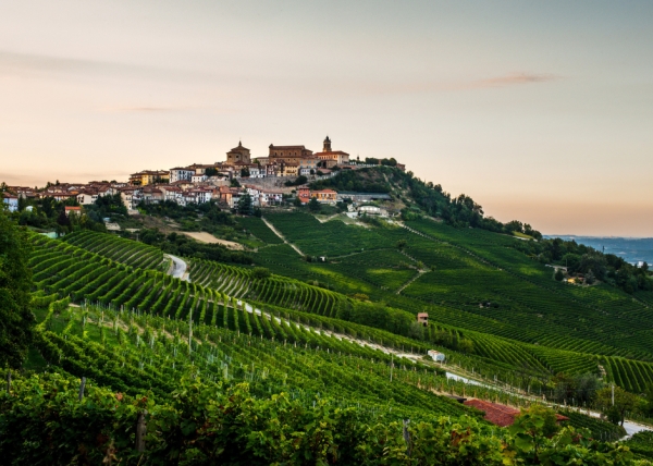 Langhe and Roero in Piedmont: an EcoMuseum and a truffle fair