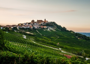Langhe and Roero in Piedmont: an EcoMuseum and a truffle fair