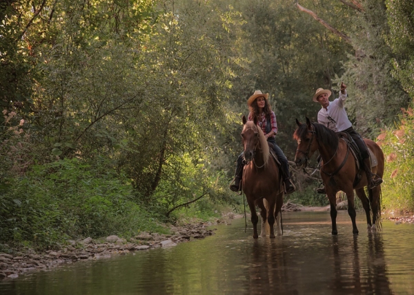 Truffle hunting: with ButteroZone, horseback riding becomes gourmet