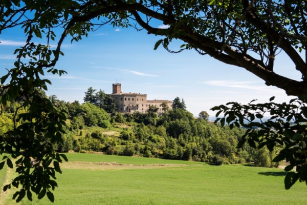 Parma and its food valley. A top choice for all seasons 