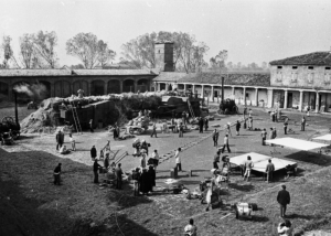 Novecento, Bertolucci 