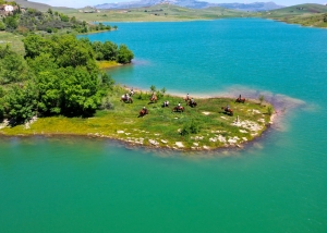 Prizzi Lake