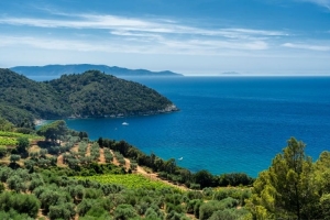 Monte Argentario and the Swedish Qarlbo Ab group to open two luxury hotels in Tuscany
