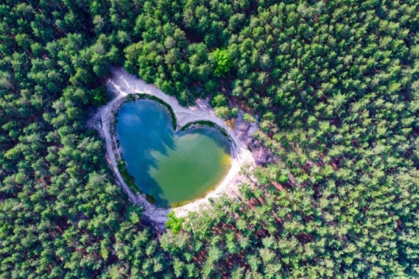 Voihotels. A partnership with Treedom to plant 1,500 trees in three years