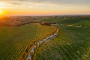 Vinova: the first scattered hotel dedicated to the world of wine 