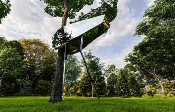 Club del Sole’s Spina camping village changes its name to Treeship