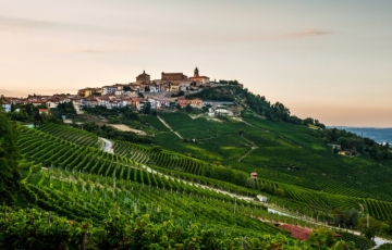 Langhe and Roero in Piedmont: an EcoMuseum and a truffle fair