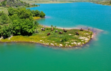 Sicani Villages unites a network of 29 towns in Southern Sicily