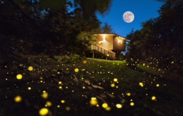 Grep Park. Glamping, forest bathing and tree houses in Monferrato in Lower Piedmont